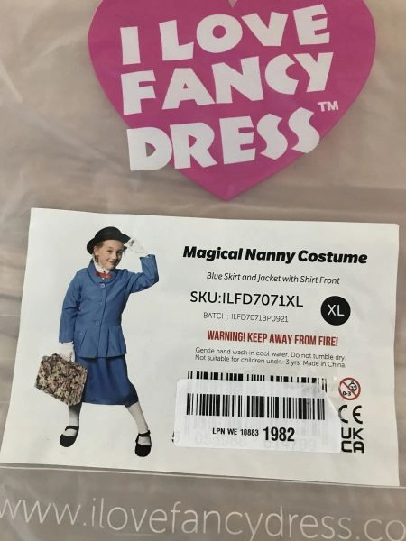I Love Fancy Dress Magical Nanny Costume