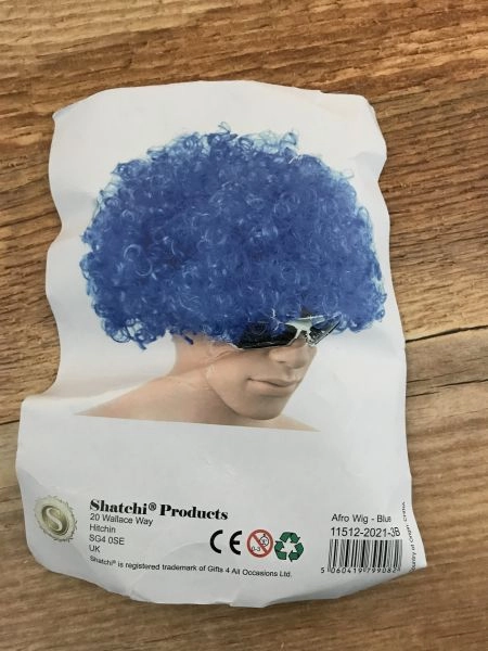 Shatchi Blue Curly Wig
