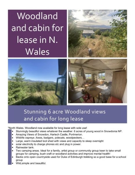 For lease 1000 pcm Stunning 6 acre Woodland and cabin for in N.Wales overlooking the sea and Snowdon
