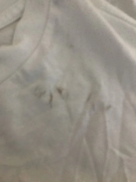 Ralph Lauren White Short Sleeve T-Shirt with Large Logo