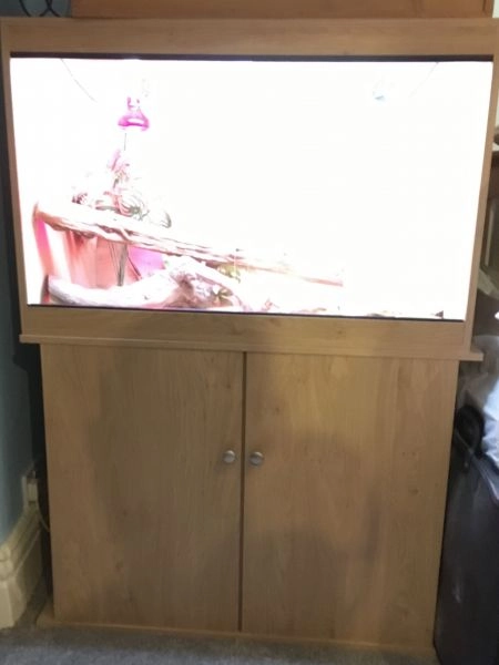 Reptile vivarium with matching cabinet and accessories