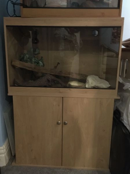 Reptile vivarium with matching cabinet and accessories