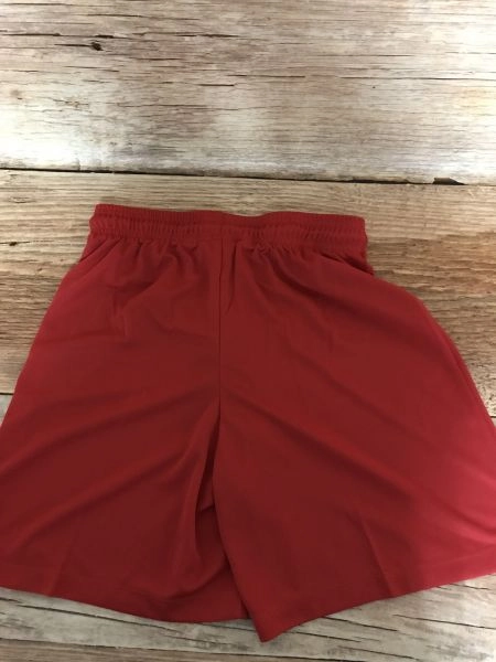 Nike Red Dri-Fit Sports Shorts