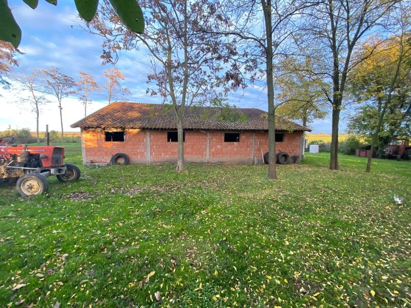 A farm in the vicinity of Sombor