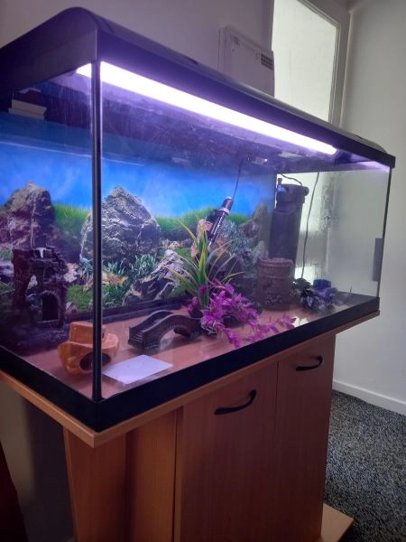 Lovely 3.5 fish tank with pump , ordnaments, heater. Only selling as I have no time , due to running a business alongside studying at Uni