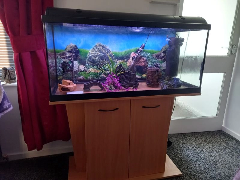 Lovely 3.5 fish tank with pump , ordnaments, heater. Only selling as I have no time , due to running a business alongside studying at Uni