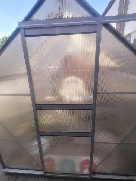 Greenhouse 8ft x 6ft Perspex complete