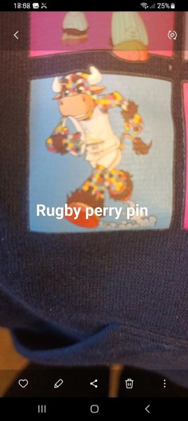 Wanted Perry the bull pins
