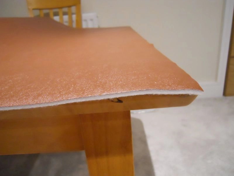 TABLE PROTECTOR