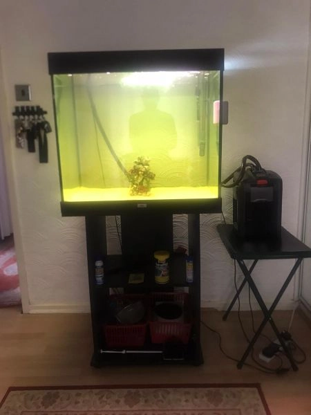 Fish Tank with stand/cabinet