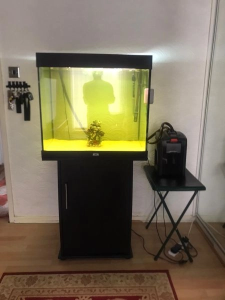 Fish Tank with stand/cabinet