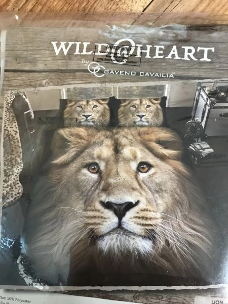 Wild@heart by gavend cavailia lion duvet cover set