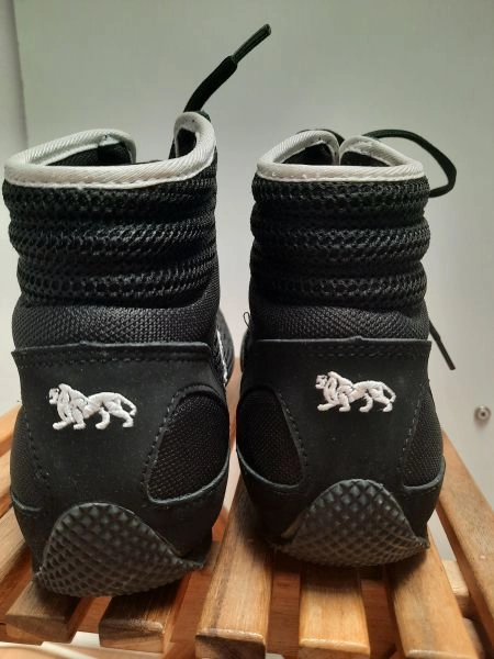 Boxing Shoes [Good Condition]