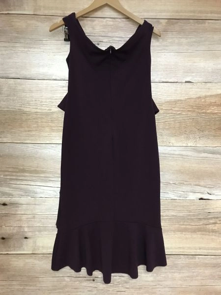 Sistaglam Purple Sleeveless Low Neckline Fit and Flare Dress
