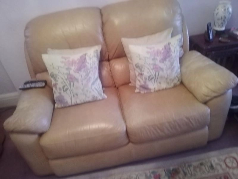 Leather 2 seater and 3 seater Sofas