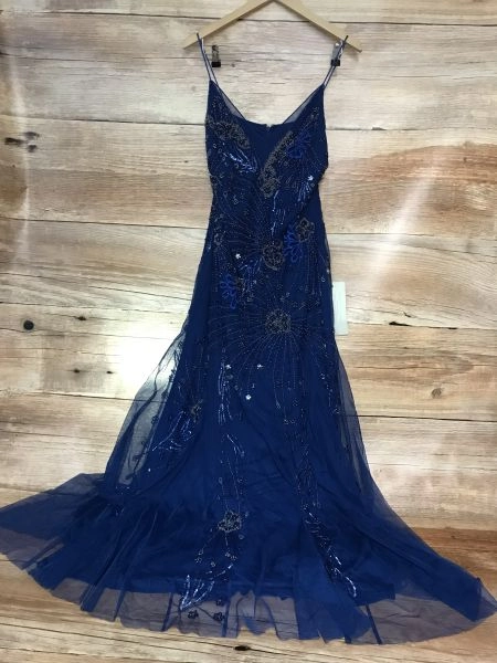 Adrianna Papell Blue Floor Length Sleeveless Gown