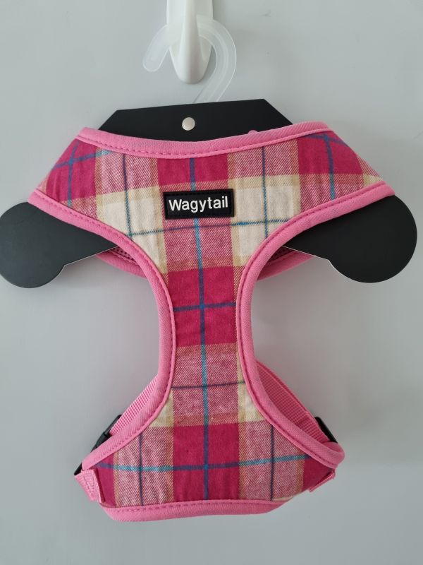 Wagytail Large Harness & Matching Lead