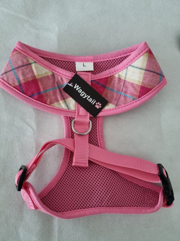 Wagytail Large Harness & Matching Lead