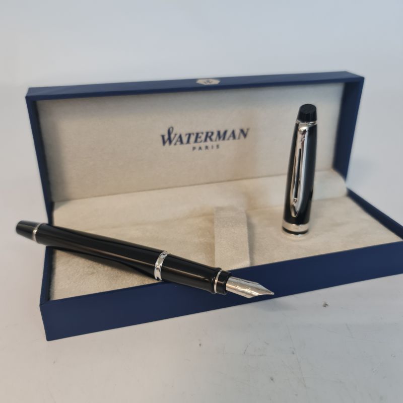 Waterman Expert Fountain Pen