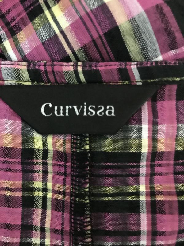 Curvissa Pink, Yellow and Black Checked Dress