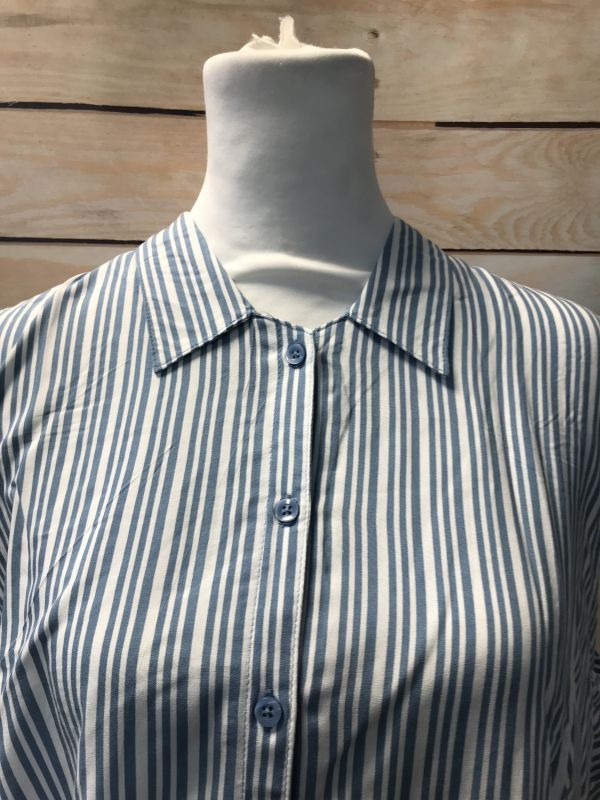 Blue and white stripe blouse.
