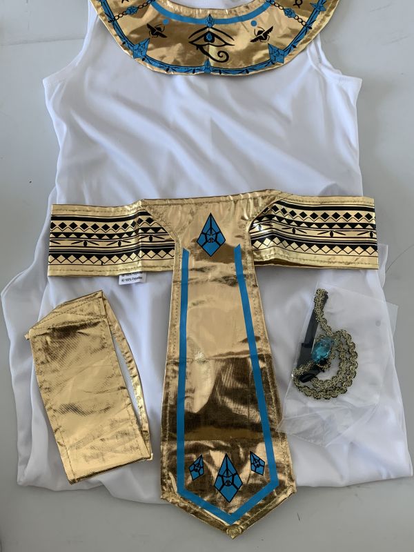 Fancy Dress Egyptian Girl Party Costume