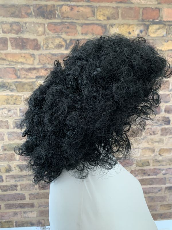 Fancy Afro Wig in Black For Adults