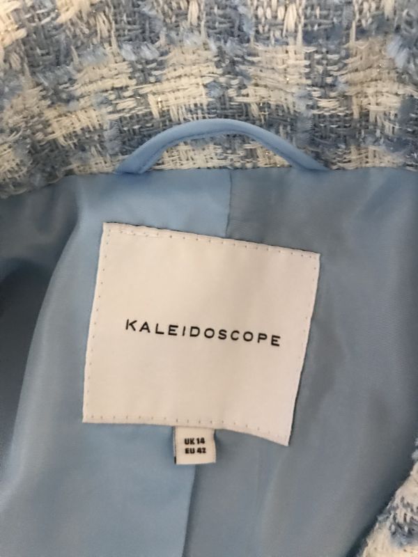 Kaleidoscope Blue and White Checked Blazer