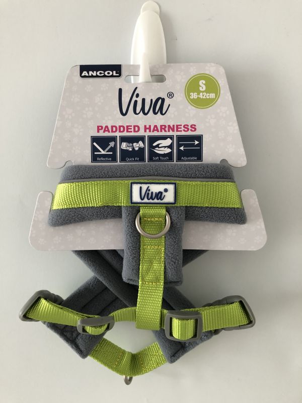 Ancol Small Padded Harness & Matching Lead