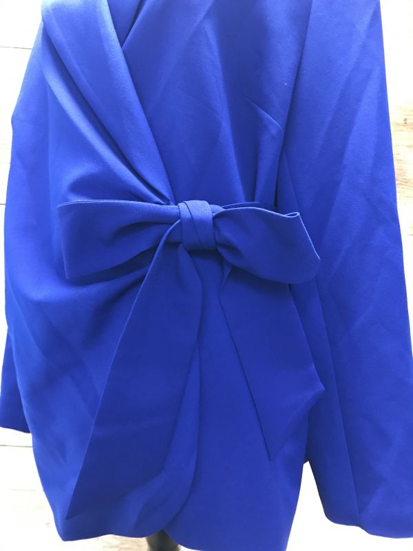 Royal Blue Jacket