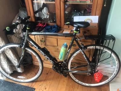 viking mens bike