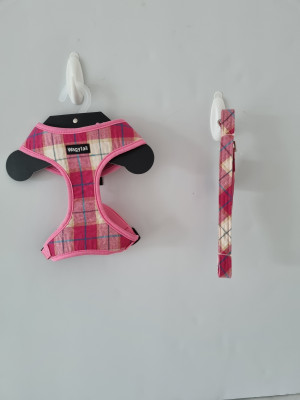Wagytail Harness & Matching Lead
