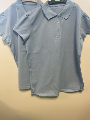 Pack of 2 blue polo shirts
