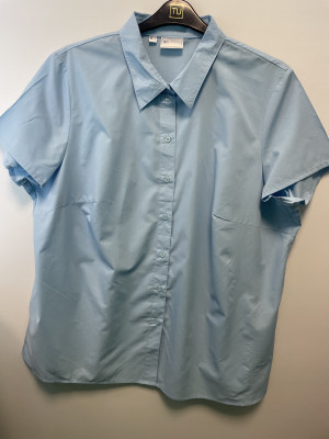 Pale blue shirt sleeved shirt
