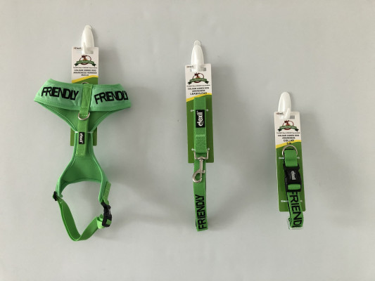 Dexil Green Friendly Lead & Harness Set